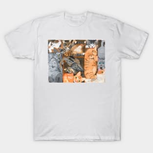 Kitty Cats in Boxes T-Shirt